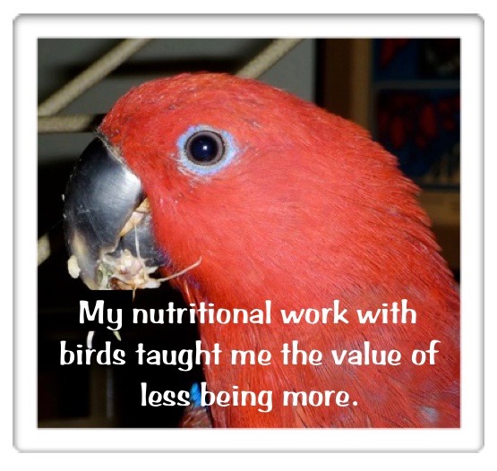 Feeding Parrots, Over-Supplementation Malnutrition - Best Bird Food Ever!